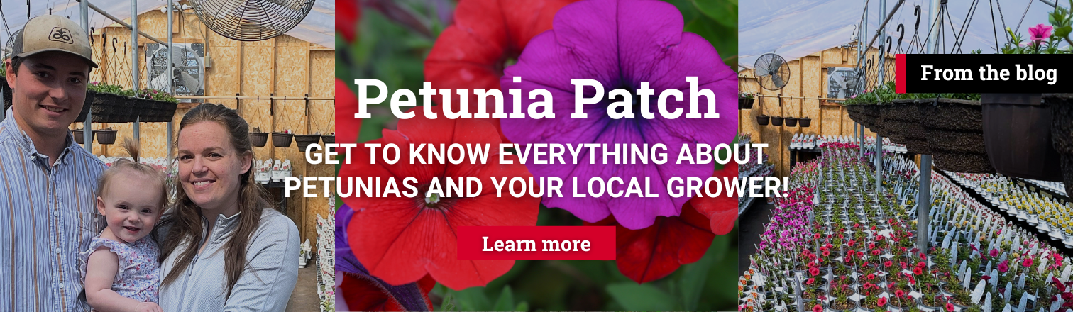 Bozeman, Montana Petunia blog slider with Petunia's Patch owners and flowers