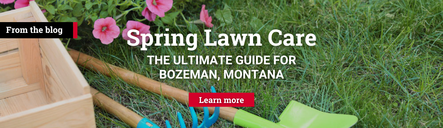 Spring Lawn Care blog ultimate guide for Bozeman, Montana on a gardening background