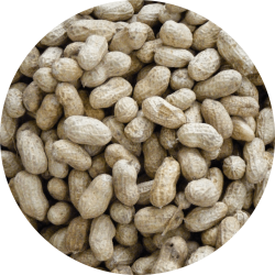 In-Shell Peanuts Seed Mix Bozeman Montana