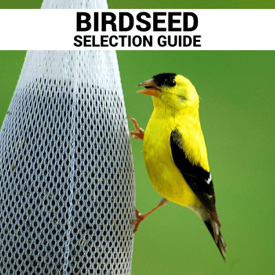 birdseed selection guide Bozeman Montana