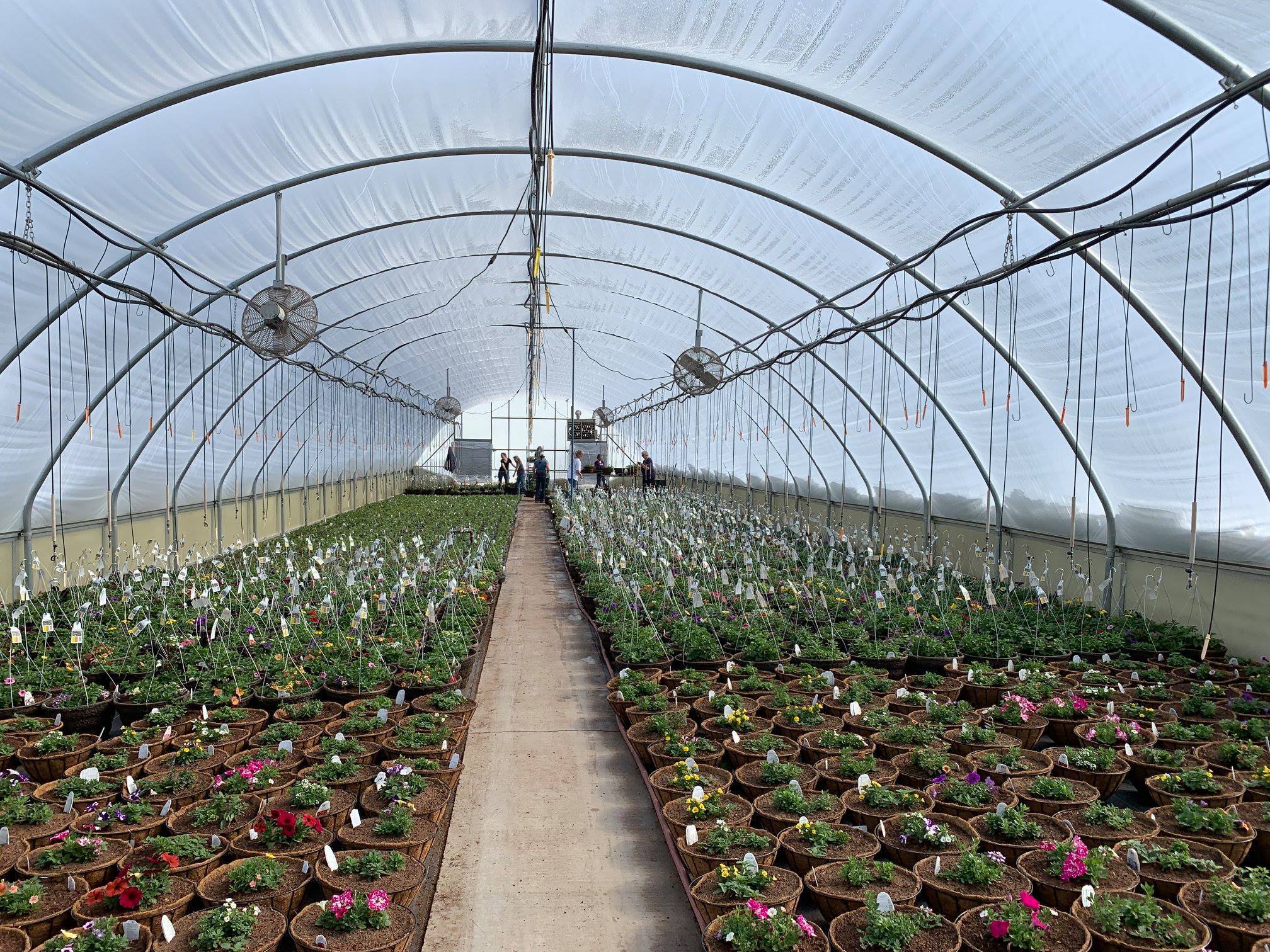 Visser Greenhouses products sold at owenhouse ace hardware of bozeman montana