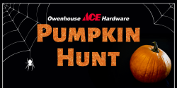 pumpkin hunt owenhouse ace hardware - Bozeman, Montana