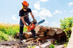 person cutting lumber with a chainsaw - Bozeman, Montana