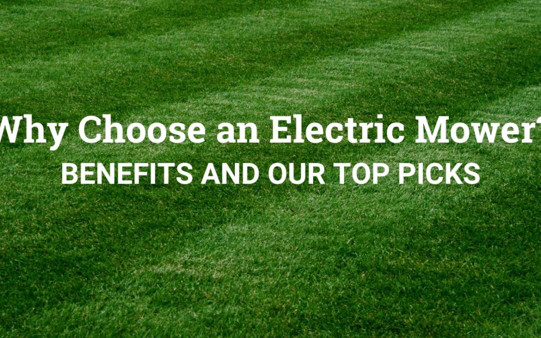 Why Choose an Electric Mower? Benefits & Our Top Picks