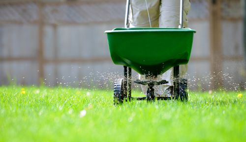 Grass seed spreader on green lawn