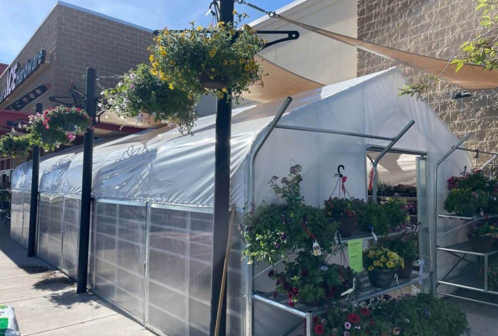 Get to Know Owenhouse’s Garden Center Growers