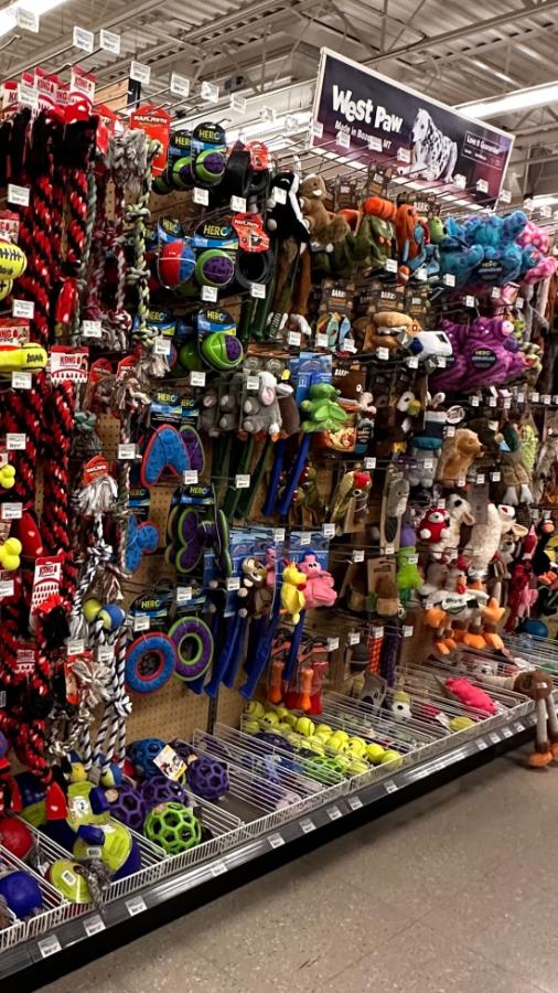 Pet Toys at Owenhouse Ace