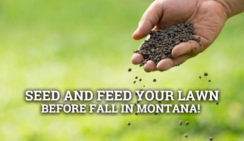 Hand seeding grass in Montana