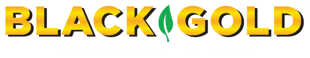Black & Gold Logo