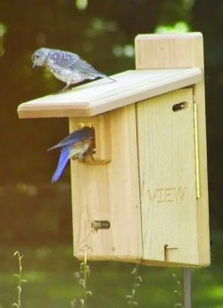 Bluebird House with Copper Guard