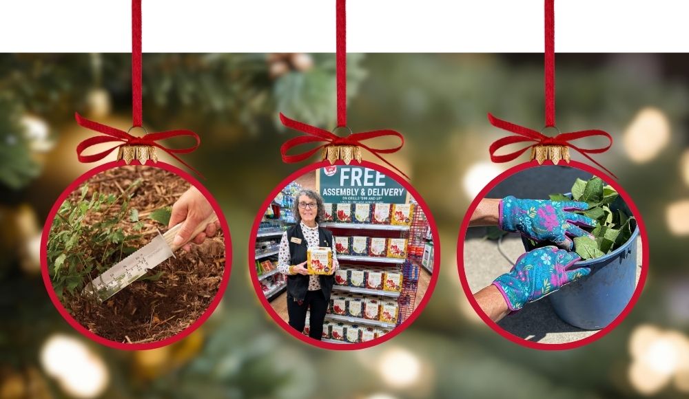 Bozeman Green Thumb Holiday Gifts