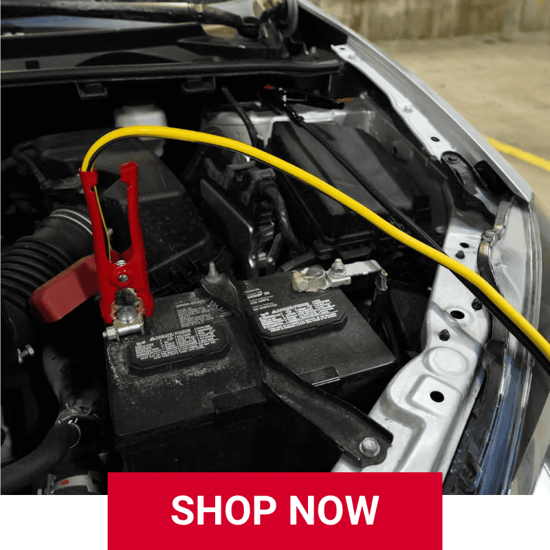 Bozeman Jumper Cables Owenhouse Ace