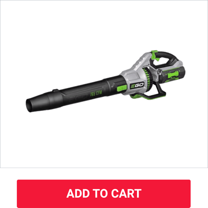 Bozeman Leaf Blowers