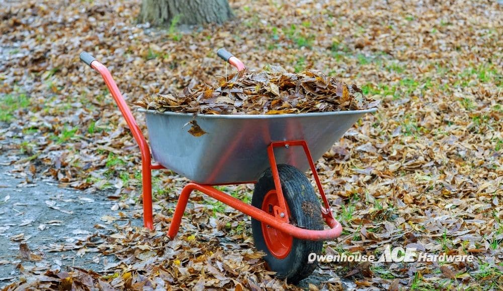 Fall Backyard Cleanup
