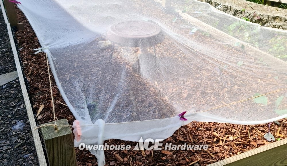 Garden Bed Protection in Montana