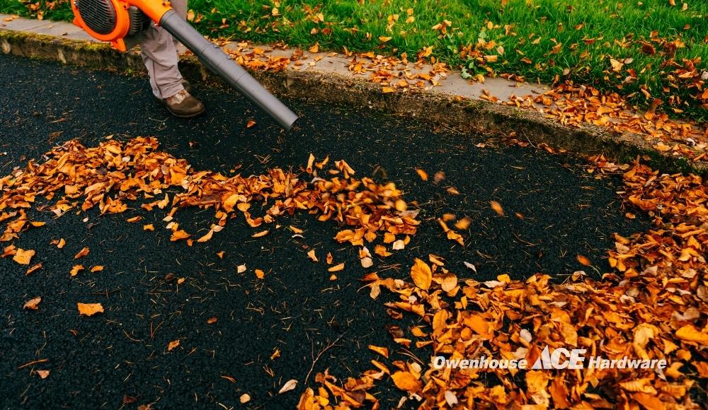 Leaf Blower Cleaning