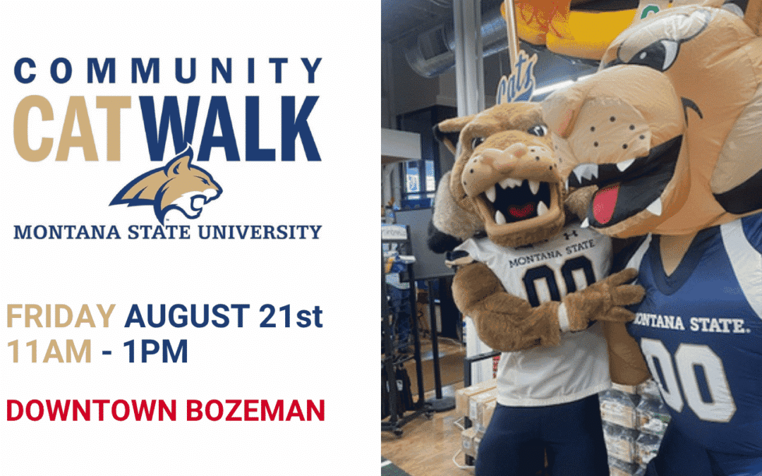 MSU Community Cat Walk at Owenhouse Ace Downtown