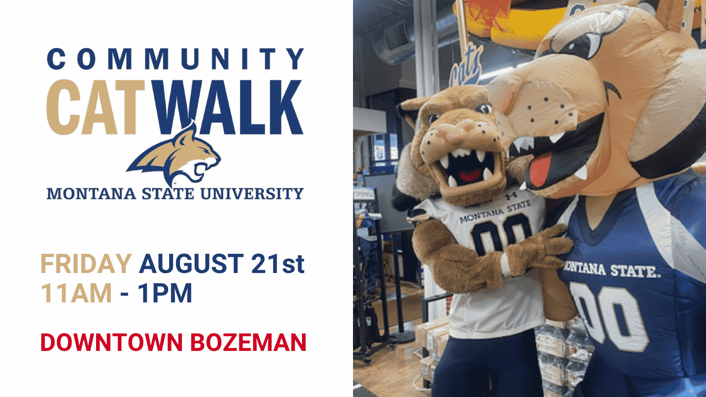 MSU Community Cat Walk 2026