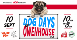 Owenhouse Ace Dog Days of Summer Event Flyer