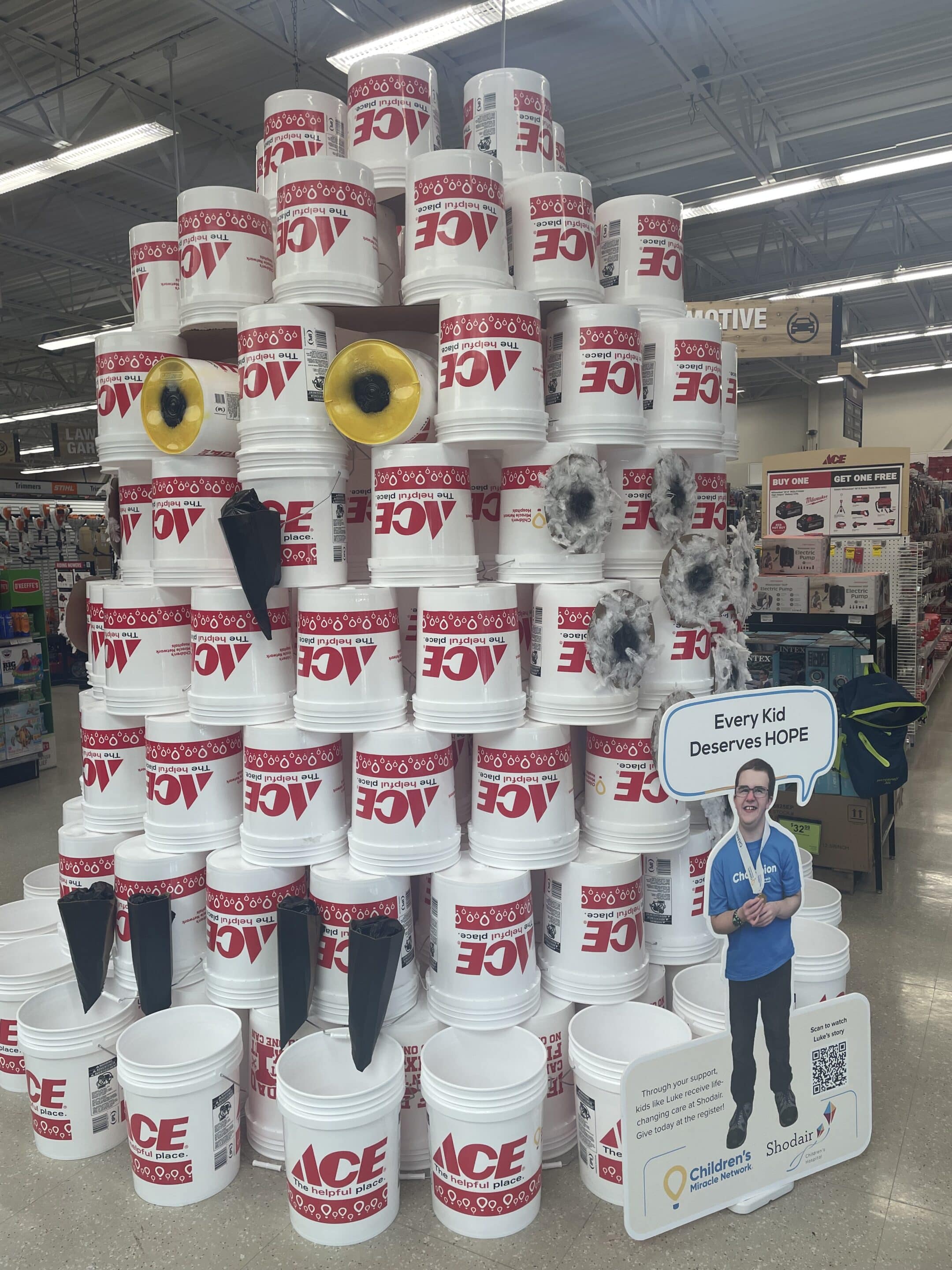 Photo of Owenhouse Ace Bucket Sale Owl Display