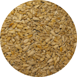 Seed-Circle-Medium-Chips Seed-Circle-Medium-Chips