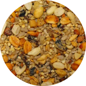 Seed-Circle-Patio-Mix