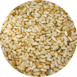 Seed-Circle-Safflower Seed-Circle-Safflower
