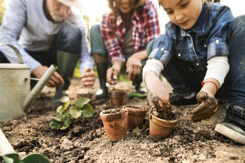 When to start your home garden in montana on owenhouse ace hardware. Families gardening together stay together