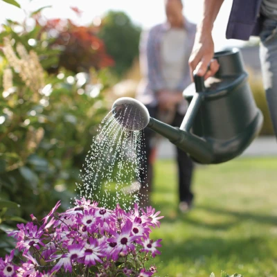 3 Pro Tips for Gardening in Bozeman