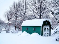 snowy winter wonderland shed and yard covered in snow