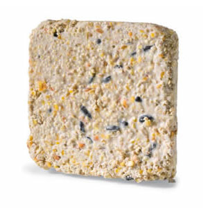 suet suet