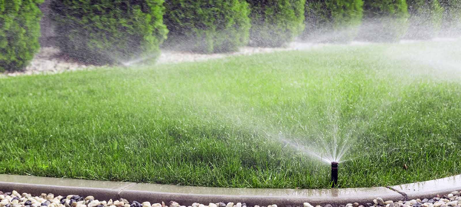 picture of sprinkler watering green grass