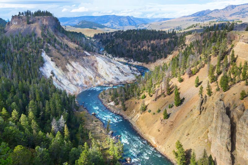 Picture of the mighty Yellowstone River running through a canyon